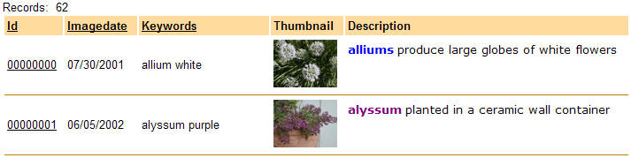 Preview of the grid showing both ID and Thumbnail fields before modification.